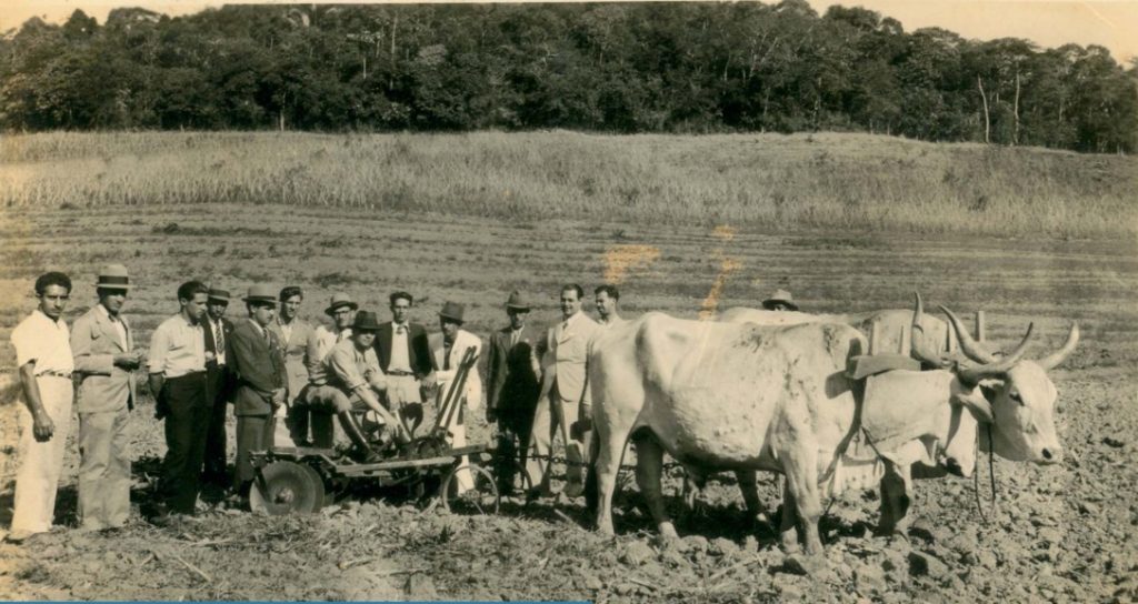 Read more about the article Retrato do Brasil rural de 1950 e 1960