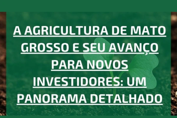 Leia mais sobre o artigo A Agricultura de Mato Grosso e Seu Avanço para Novos Investidores: Um Panorama Detalhado