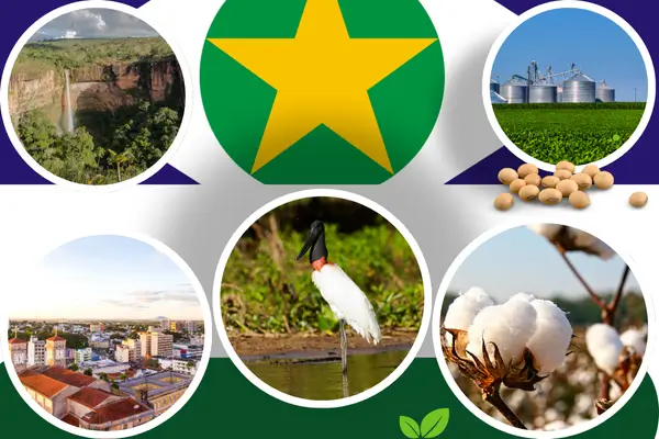 Leia mais sobre o artigo Mato Grosso: Um Estado de Riquezas Naturais e Culturais