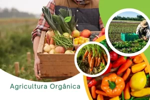agricultura orgânica